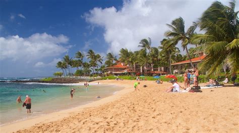 Flights to koloa Search direct flights from San Jose to Honolulu on Hawaii's #1 airline